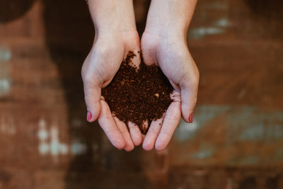 Kompostierbare Kaffeekapseln – wie funktioniert das?