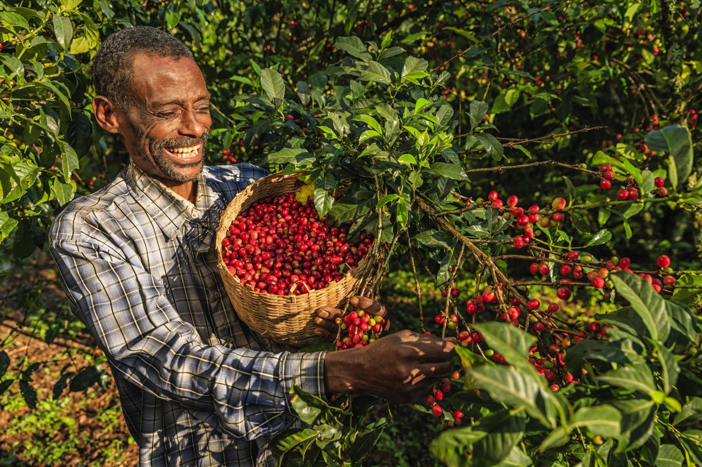 Fairtrade Kaffeekapseln